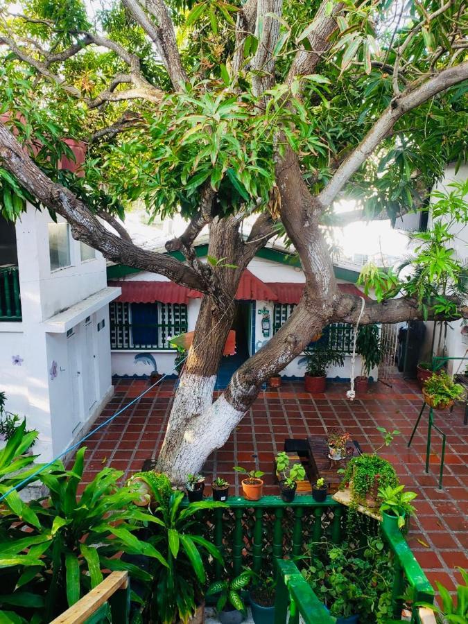 Tita'S Airport Hotel Cartagena Eksteriør billede